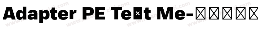 Adapter PE Text Me字体转换
